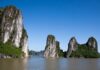 The Devastation of Ha Long Bay’s Vegetation Post-Typhoon Yagi