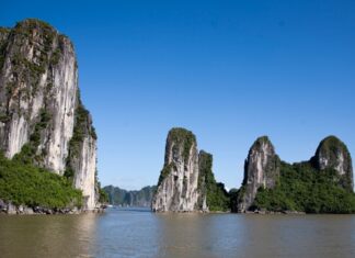 The Devastation of Ha Long Bay’s Vegetation Post-Typhoon Yagi