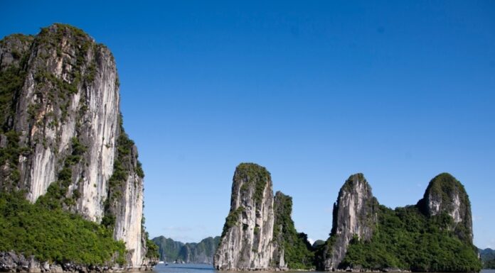 The Devastation of Ha Long Bay’s Vegetation Post-Typhoon Yagi