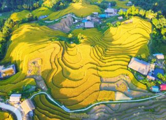 Enchanted by the Breathtaking Scenery at the Foothills of Tay Con Linh Mountain