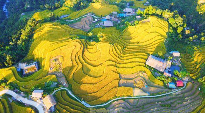 Enchanted by the Breathtaking Scenery at the Foot of Tay Con Linh Mountain