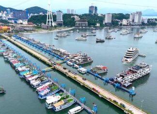 The Billionaire Yacht Club: Over 200 Tycoons Set Sail for Ha Long Bay