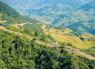 The Majestic ‘Dinosaur Spine’ of Mù Cang Chải: Capturing the Ultimate Like-Worthy Shot