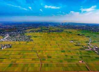 The Golden Season in the Land of ‘Rivers, Not Mountains’: A Spectacular Sight Over 100km from Hanoi