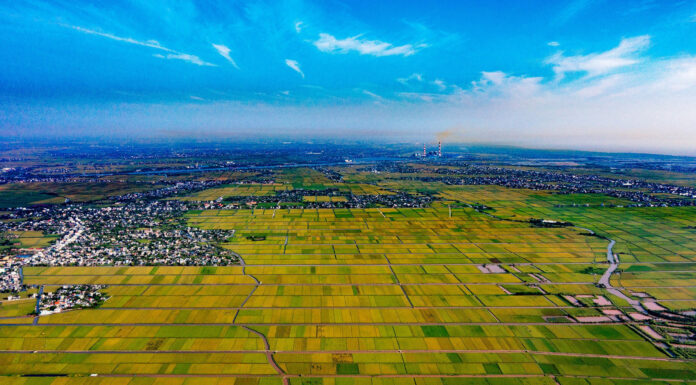 The Golden Season in the Land of ‘Rivers, Not Mountains’: A Spectacular Sight Over 100km from Hanoi