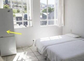 The Ancient Wisdom: “Beware! These 3 Spots are a Big No-No for Your Fridge, Says Ancestral Wisdom”