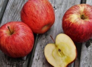 10 Delicious Snacks to Pack for Your Next Adventure