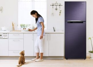 The Ancient’s Wisdom: “Three Things on Top of Your Fridge for Prosperity”