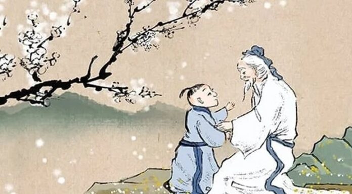 The Ancient’s Advice: “Never Cut Down These 3 Trees, No Matter How Poor You Are; Your Descendants Will Be Protected”