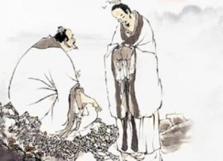 “Don’t Turn Your Back on the Tortoise’s Shell or the Snake’s Waist”