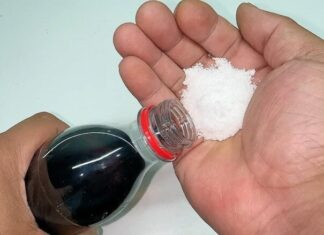 “A Pinch of Salt for a Sweet Solution: Resolving Household Issues, the Easy Way”