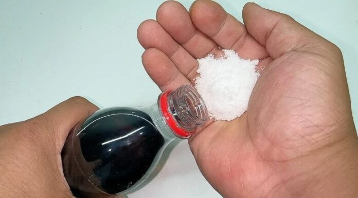 “A Pinch of Salt for a Sweet Solution: Resolving Household Issues, the Easy Way”