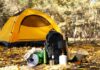 The Great Summer Camping Escape: 5 Tips for a Perfect Adventure