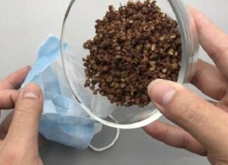 “The Magic Peppercorns: A Good Night’s Sleep Solution”