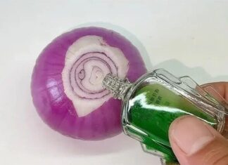 “Keep Pesky Pests at Bay: The Power of Onion and Essential Oils”