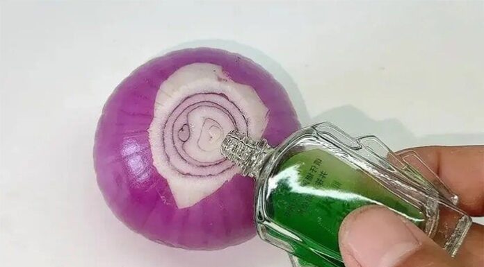 “Keep Pesky Pests at Bay: The Power of Onion and Essential Oils”