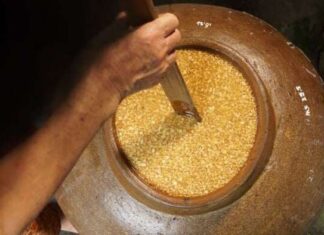 The Ultimate Guide to Gift-Giving: 5 Delicacies from Nghe An that will Impress any Recipient