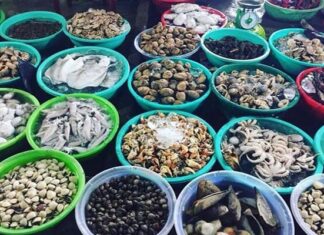 The Top 5 Bustling Markets in Quy Nhon: A Food Lover’s Paradise for Fresh Local Delicacies at Affordable Prices