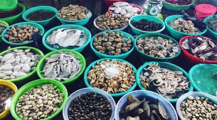 The Top 5 Bustling Markets in Quy Nhon: A Food Lover’s Paradise for Fresh Local Delicacies at Affordable Prices
