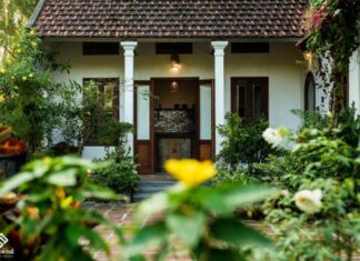 6 Charming Homestays in Ninh Binh That Will Make You Never Want to Leave