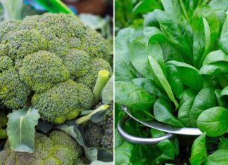 6 Fruits and Vegetables You Should Never Juice: Are You Wasting Your Nutrients?