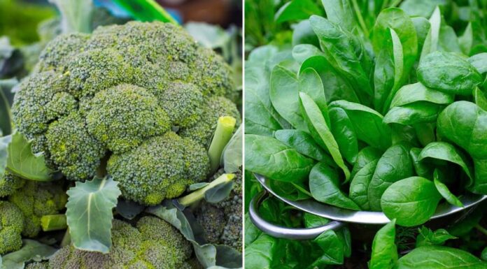 6 Fruits and Vegetables You Should Never Juice: Are You Wasting Your Nutrients?