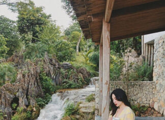 Escape the City and ‘Heal’ by the Creek: A Serene Retreat or an Unbelievable Hoax?