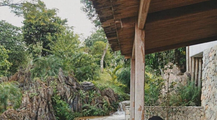 Escape the City and ‘Heal’ by the Creek: A Serene Retreat or an Unbelievable Hoax?