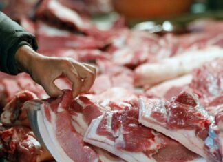 The Ancient’s Advice: ‘Beware the Pork Neck, and the Dace of the Sea’