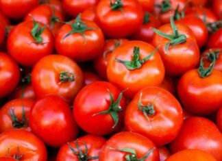 “Is This Common Ingredient a No-Go with Tomatoes?”