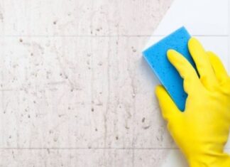 The Musty Smell Solution: A Guide to Eliminating Damp Odors in Your Home