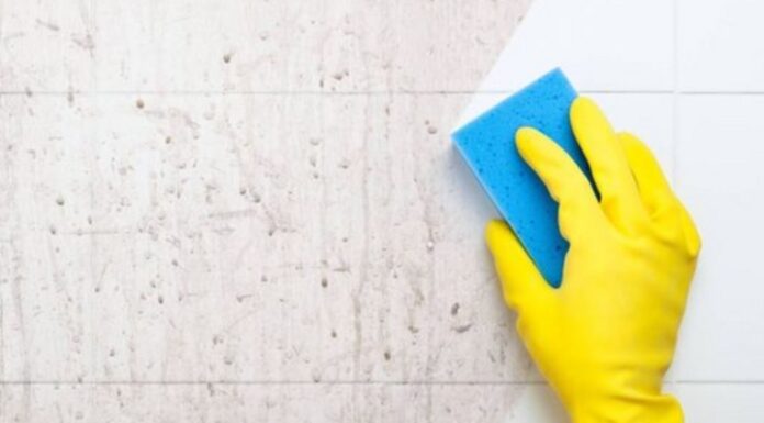 The Musty Smell Solution: A Guide to Eliminating Damp Odors in Your Home
