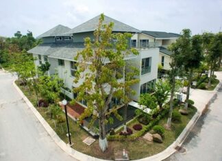 The 4 Types of Land That Can Bring Bad Luck and Financial Ruin: A Guide to Avoiding Unfortunate Property Purchases