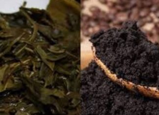 The Magic of Tea: Discover the Surprising Uses of Tea Beyond the Cup