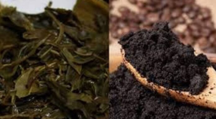 The Magic of Tea: Discover the Surprising Uses of Tea Beyond the Cup