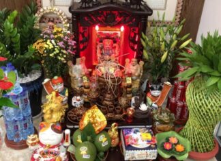 “The Significance of Houseplants in Spiritual Spaces: Elevating Your Altar with Greenery”