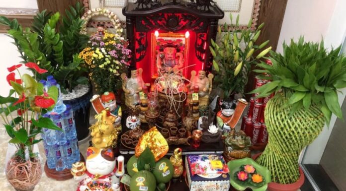 “The Significance of Houseplants in Spiritual Spaces: Elevating Your Altar with Greenery”