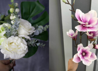 The Altar’s Unholy Trinity: How These Three Things Bring Chaos, Deplete Wealth and Unsettle Families