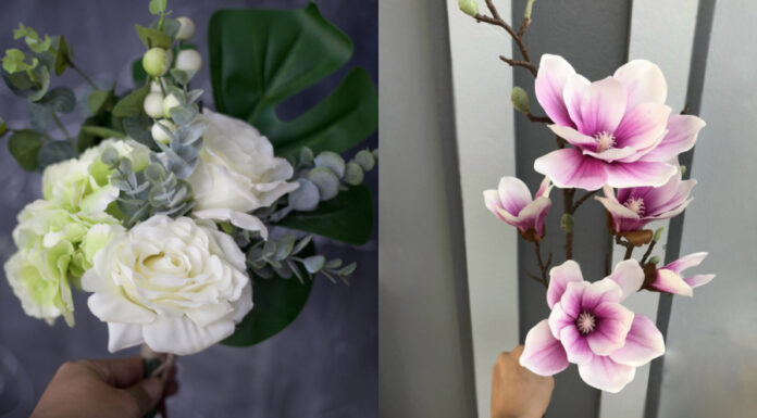 The Altar’s Unholy Trinity: How These Three Things Bring Chaos, Deplete Wealth and Unsettle Families