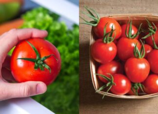 Why You Shouldn’t Store Tomatoes in the Fridge: The Right Way to Keep Them Fresh for Weeks.