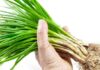 Preserving Green Onions: Skip the Fridge and Try These Two Tips Instead for Long-Lasting Freshness