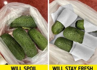 14 Ingenious Food Storage Hacks You Need to Know About