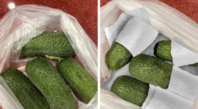 14 Ingenious Food Storage Hacks You Need to Know About