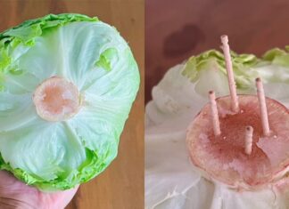 The Secret to Keeping Lettuce Fresh for a Week: A Toothpick’s Tale