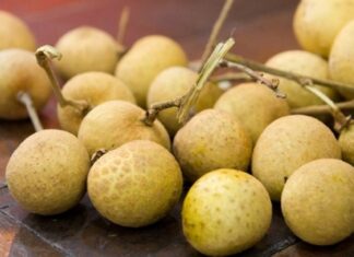 The Secret to Keeping Grapes Fresh for Weeks on End