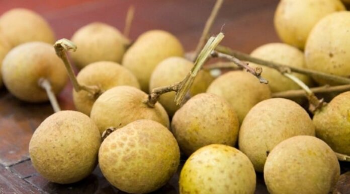 The Secret to Keeping Grapes Fresh for Weeks on End