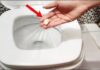The Magic of a Single Garlic Clove: Unlocking the Power in Your Toilet Bowl