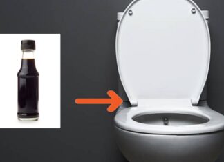 What’s the Point of Putting Soy Sauce in the Toilet Bowl?