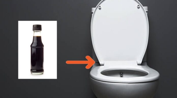 What’s the Point of Putting Soy Sauce in the Toilet Bowl?