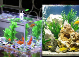 Unleash the Power of Wealth: Plug the Leaks in Your Home’s Plumbing to Uncover Hidden Fortunes